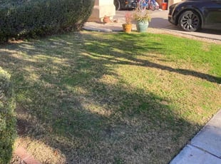 Bush Trimming by John Cross for Andrew N. in Phoenix, AZ