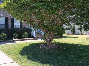 Larry S.'s Lawn Service service result