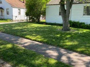 Sadie W.'s Lawn Care service result