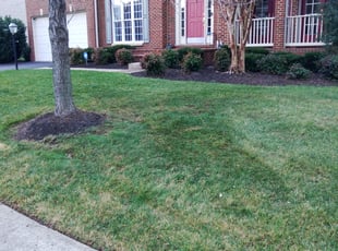 Leaf Removal by Jim Crossett for Kenneth C. in South Riding, VA