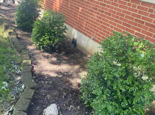 Bush Trimming by Fernando Escobar for Ryan M. in Cincinnati, OH