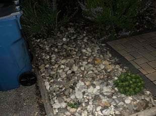 Weeding by Robert Parker for Matthew S. in Newark, DE