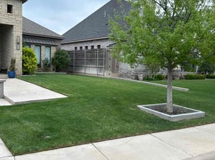 Martha B.'s Lawn Service service result