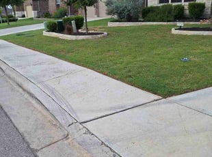 Buddy D.'s Lawn Maintenance service result