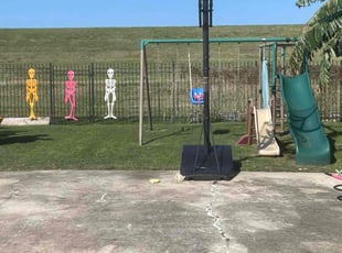 Saralee S.'s Lawn Maintenance service result