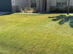 Isaac D.'s Lawn Mowing Service service result
