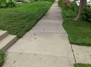 Frank B.'s Yard Cutting service result