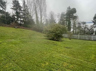 Ariel H.'s Lawn Care service result