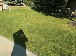 Kelley L.'s Lawn Service service result
