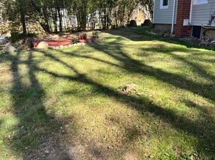 Joel M.'s Lawn Care service result