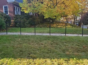 Cleanups by Joshua Bauer for Alex G. in Bellevue, PA