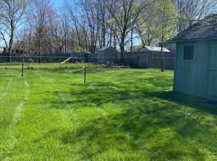 Patty S.'s Lawn Mowing Service service result