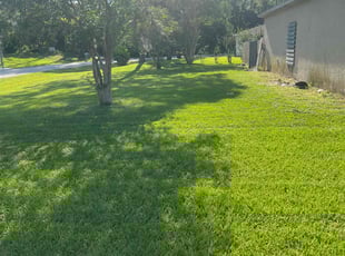 Laura C.'s Lawn Mowing service result