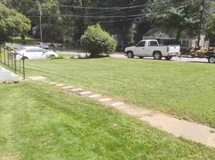 Edward C.'s Lawn Mowing service result