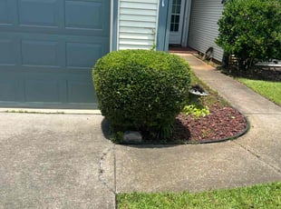 Bush Trimming by Marco Garcia for Kenneth D. in Murrells Inlet, SC