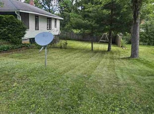 Jordan D.'s Lawn Mowing service result