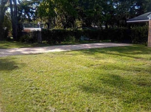 Trish J.'s Grass Cutting service result