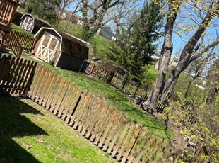 Darnell K.'s Lawn Service service result
