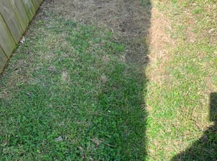 Cleanups by Rick Roberts for Kevin G. in Springfield, MO