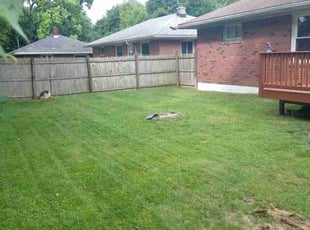 James G.'s Lawn Mowing service result