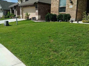 Carlos D.'s Lawn Care service result