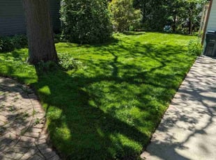 Randy K.'s Lawn Mowing Service service result