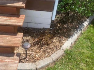 Cleanups by Connor Andrew for Bryn S. in Denver, CO