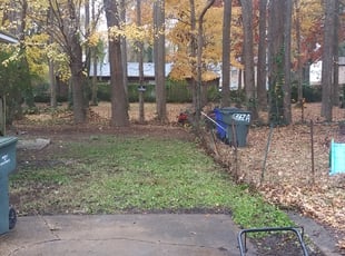 Leaf Removal by Mark Eley for Patty S. in Norfolk, VA