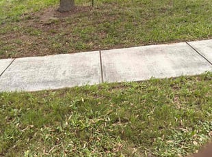 Cleanups by Stephen Sifuentes for Danielle A. in San Antonio, TX