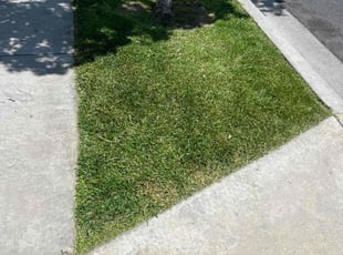 Robert S.'s Lawn Care service result