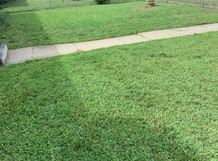 Bush Trimming by Jamel Evans for Tekeisha S. in Richmond, VA