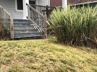 Bush Trimming by Kareem Bonner for Vasuki R. in Cincinnati, OH