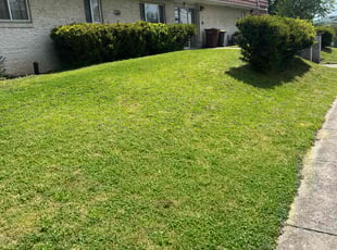 Virgil R.'s Lawn Mowing service result