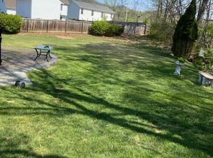 Davel M.'s Grass Cutting service result