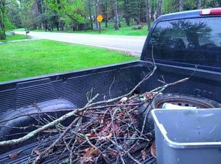 Cleanups by Michael King for Sasha W. in Brecksville, OH