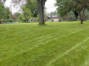 Margaret R.'s Lawn Service service result