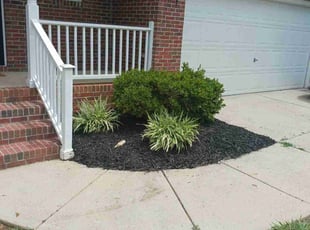 Mulching by Timothy Pannell for Kaylan D. in Greensboro, NC