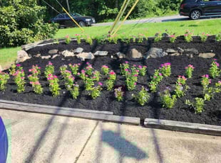 Landscaping by Dan Hume for Rhonda M. in Beltsville, MD