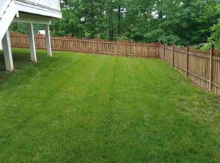 Nadell G.'s Lawn Care service result