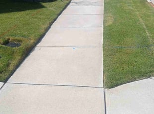 Sue j.'s Grass Cutting service result