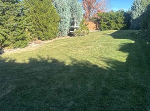 Meghan C.'s Lawn Mowing Service service result