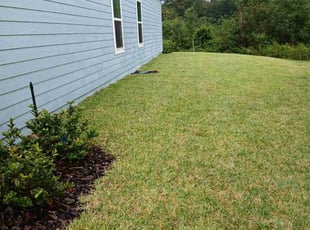 Marvin C.'s Lawn Mowing service result