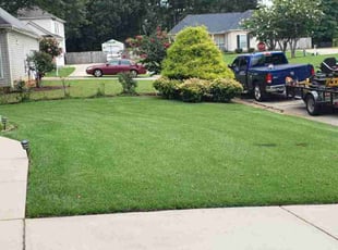 Jen C.'s Lawn Service service result