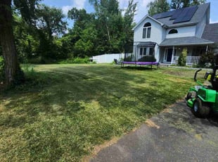 Linda M.'s Lawn Mowing service result