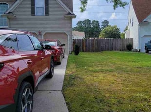 Bush Trimming by Chelsea Morris for Michael H. in Virginia Beach, VA