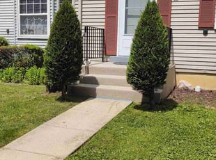 Bush Trimming by Allan Roberts for Amarilys E. in Burke, VA