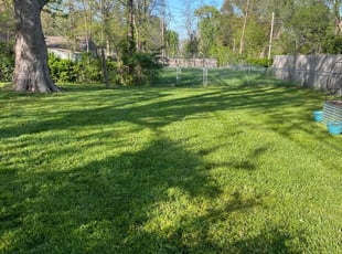 Lisa H.'s Lawn Service service result