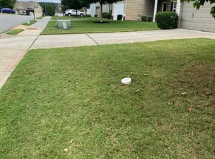 Bush Trimming by C.J. Cooley for Terence L. in Dallas, GA