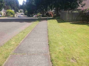 Ama S.'s Lawn Care service result