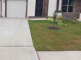 Terry H.'s Lawn Care service result